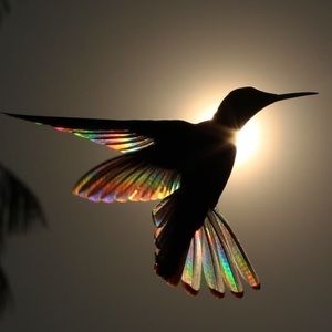 Meet your Posher, Buddy